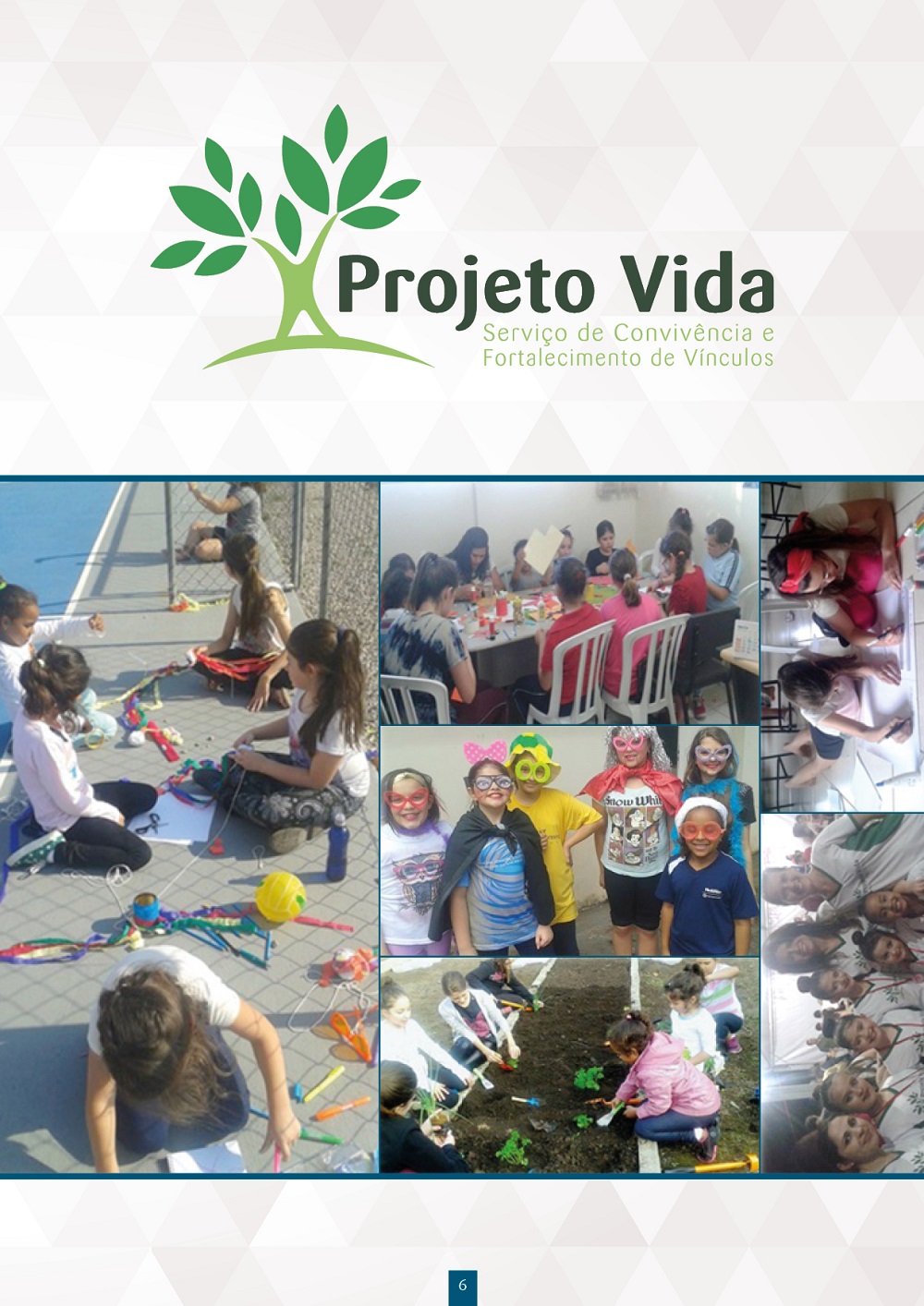 Amas Projeto Vida